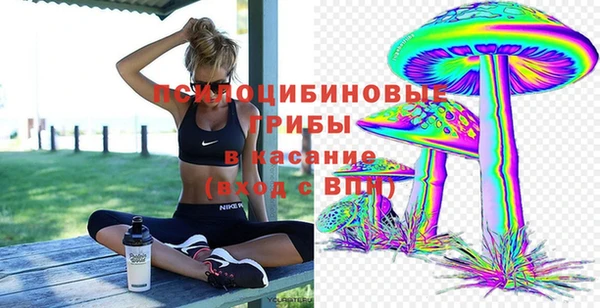 спиды Алексеевка