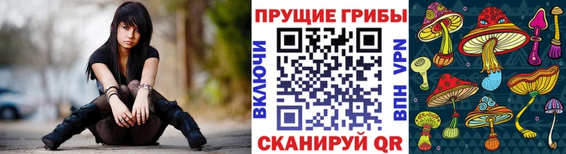 Галлюциногенные грибы GOLDEN TEACHER Анива