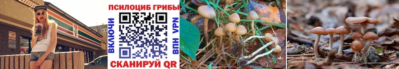 Галлюциногенные грибы MAGIC MUSHROOMS  цены   Анива 